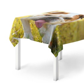 Скатерть 3D с принтом Funny Dog в Курске, 100% полиэстер (ткань не мнется и не растягивается) | Размер: 150*150 см | Тематика изображения на принте: dog | английский бульдог | пес | собака