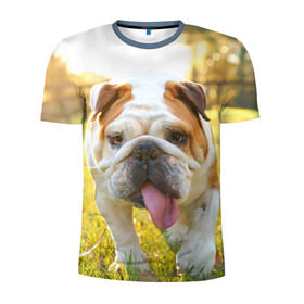 Мужская футболка 3D спортивная с принтом Funny Dog в Курске, 100% полиэстер с улучшенными характеристиками | приталенный силуэт, круглая горловина, широкие плечи, сужается к линии бедра | dog | английский бульдог | пес | собака