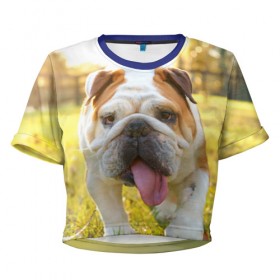 Женская футболка 3D укороченная с принтом Funny Dog в Курске, 100% полиэстер | круглая горловина, длина футболки до линии талии, рукава с отворотами | dog | английский бульдог | пес | собака