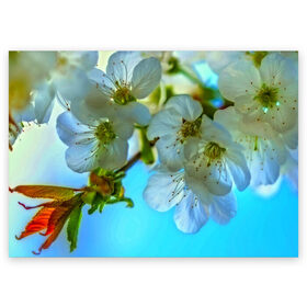 Поздравительная открытка с принтом Цветочки на дереве в Курске, 100% бумага | плотность бумаги 280 г/м2, матовая, на обратной стороне линовка и место для марки
 | 3d | flower | весна | другие | красивые цветы | лето | поле | полевой цветок | прикольные | природа | текстуры | цветочки | цветы