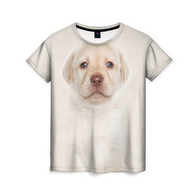 Женская футболка 3D с принтом Лабрадор в Курске, 100% полиэфир ( синтетическое хлопкоподобное полотно) | прямой крой, круглый вырез горловины, длина до линии бедер | dog | labrador | puppy | порода | собака | собачка | щенок