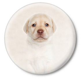 Значок с принтом Лабрадор в Курске,  металл | круглая форма, металлическая застежка в виде булавки | dog | labrador | puppy | порода | собака | собачка | щенок