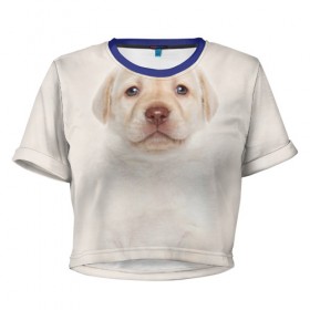 Женская футболка 3D укороченная с принтом Лабрадор в Курске, 100% полиэстер | круглая горловина, длина футболки до линии талии, рукава с отворотами | dog | labrador | puppy | порода | собака | собачка | щенок