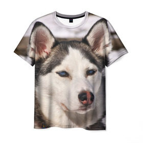 Мужская футболка 3D с принтом Хаски в Курске, 100% полиэфир | прямой крой, круглый вырез горловины, длина до линии бедер | dog | лабрадор | мопс | пес | собака | такса | хаски | щеночек