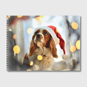 Альбом для рисования с принтом Рождество в Курске, 100% бумага
 | матовая бумага, плотность 200 мг. | Тематика изображения на принте: dog | кавалер кинг чарльз спаниель | новый год | пес | рождество | собака