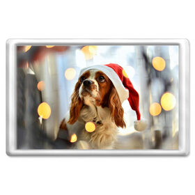 Магнит 45*70 с принтом Рождество в Курске, Пластик | Размер: 78*52 мм; Размер печати: 70*45 | dog | кавалер кинг чарльз спаниель | новый год | пес | рождество | собака