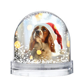 Водяной шар с принтом Рождество в Курске, Пластик | Изображение внутри шара печатается на глянцевой фотобумаге с двух сторон | Тематика изображения на принте: dog | кавалер кинг чарльз спаниель | новый год | пес | рождество | собака