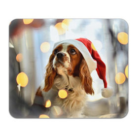 Коврик прямоугольный с принтом Рождество в Курске, натуральный каучук | размер 230 х 185 мм; запечатка лицевой стороны | dog | кавалер кинг чарльз спаниель | новый год | пес | рождество | собака