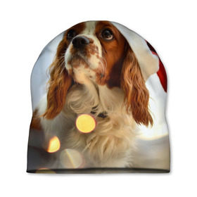 Шапка 3D с принтом Рождество в Курске, 100% полиэстер | универсальный размер, печать по всей поверхности изделия | dog | кавалер кинг чарльз спаниель | новый год | пес | рождество | собака