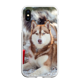Чехол для iPhone XS Max матовый с принтом Хаски в Курске, Силикон | Область печати: задняя сторона чехла, без боковых панелей | dog | лабрадор | мопс | пес | собака | такса | хаски | щеночек