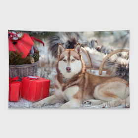 Флаг-баннер с принтом Хаски в Курске, 100% полиэстер | размер 67 х 109 см, плотность ткани — 95 г/м2; по краям флага есть четыре люверса для крепления | dog | лабрадор | мопс | пес | собака | такса | хаски | щеночек