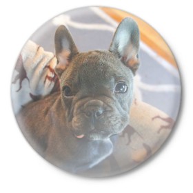 Значок с принтом Мопс в Курске,  металл | круглая форма, металлическая застежка в виде булавки | Тематика изображения на принте: пес