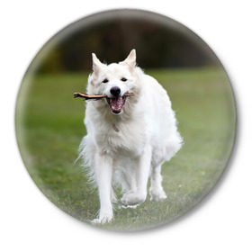 Значок с принтом Палочка в Курске,  металл | круглая форма, металлическая застежка в виде булавки | Тематика изображения на принте: dog | лабрадор | мопс | пес | собака | такса | хаски | щеночек