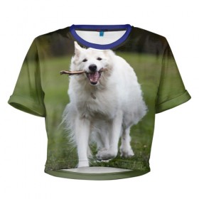 Женская футболка 3D укороченная с принтом Палочка в Курске, 100% полиэстер | круглая горловина, длина футболки до линии талии, рукава с отворотами | dog | лабрадор | мопс | пес | собака | такса | хаски | щеночек