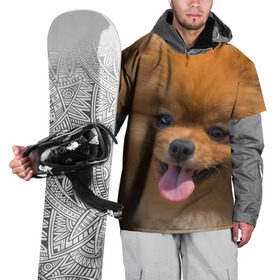 Накидка на куртку 3D с принтом Милашка в Курске, 100% полиэстер |  | dog | пес | померанский | собака | шпиц | щеночек