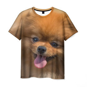 Мужская футболка 3D с принтом Милашка в Курске, 100% полиэфир | прямой крой, круглый вырез горловины, длина до линии бедер | dog | пес | померанский | собака | шпиц | щеночек