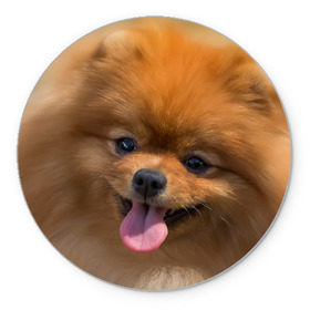 Коврик круглый с принтом Милашка в Курске, резина и полиэстер | круглая форма, изображение наносится на всю лицевую часть | dog | пес | померанский | собака | шпиц | щеночек