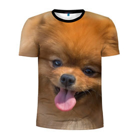 Мужская футболка 3D спортивная с принтом Милашка в Курске, 100% полиэстер с улучшенными характеристиками | приталенный силуэт, круглая горловина, широкие плечи, сужается к линии бедра | Тематика изображения на принте: dog | пес | померанский | собака | шпиц | щеночек