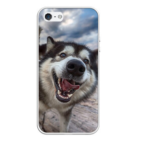 Чехол для iPhone 5/5S матовый с принтом Smile в Курске, Силикон | Область печати: задняя сторона чехла, без боковых панелей | dog | лабрадор | мопс | пес | собака | такса | хаски | щеночек