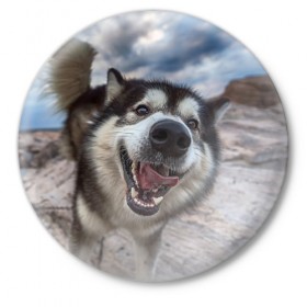 Значок с принтом Smile в Курске,  металл | круглая форма, металлическая застежка в виде булавки | dog | лабрадор | мопс | пес | собака | такса | хаски | щеночек