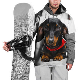 Накидка на куртку 3D с принтом Пёсик в Курске, 100% полиэстер |  | dog | пес | собака | такса | щеночек