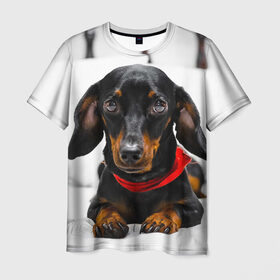 Мужская футболка 3D с принтом Пёсик в Курске, 100% полиэфир | прямой крой, круглый вырез горловины, длина до линии бедер | Тематика изображения на принте: dog | пес | собака | такса | щеночек