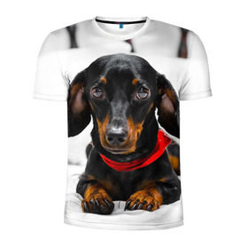 Мужская футболка 3D спортивная с принтом Пёсик в Курске, 100% полиэстер с улучшенными характеристиками | приталенный силуэт, круглая горловина, широкие плечи, сужается к линии бедра | dog | пес | собака | такса | щеночек