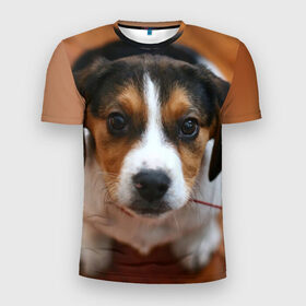 Мужская футболка 3D спортивная с принтом Щеночек в Курске, 100% полиэстер с улучшенными характеристиками | приталенный силуэт, круглая горловина, широкие плечи, сужается к линии бедра | dog | бигль | пес | собака | щеночек