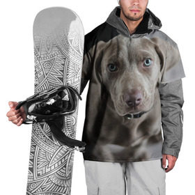 Накидка на куртку 3D с принтом Puppy в Курске, 100% полиэстер |  | dog | веймаранер | пес | собака | щеночек
