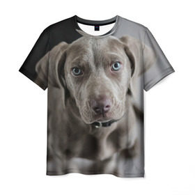 Мужская футболка 3D с принтом Puppy в Курске, 100% полиэфир | прямой крой, круглый вырез горловины, длина до линии бедер | dog | веймаранер | пес | собака | щеночек