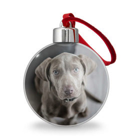 Ёлочный шар с принтом Puppy в Курске, Пластик | Диаметр: 77 мм | Тематика изображения на принте: dog | веймаранер | пес | собака | щеночек