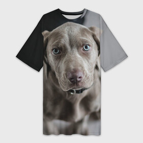 Платье-футболка 3D с принтом Puppy в Курске,  |  | dog | веймаранер | пес | собака | щеночек