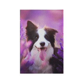 Обложка для паспорта матовая кожа с принтом Happy в Курске, натуральная матовая кожа | размер 19,3 х 13,7 см; прозрачные пластиковые крепления | dog | бордер колли | пес | собака