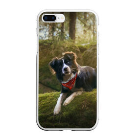 Чехол для iPhone 7Plus/8 Plus матовый с принтом Лес в Курске, Силикон | Область печати: задняя сторона чехла, без боковых панелей | Тематика изображения на принте: dog | бордер колли | пес | собака