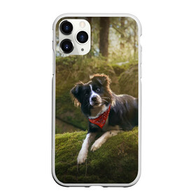 Чехол для iPhone 11 Pro матовый с принтом Лес в Курске, Силикон |  | Тематика изображения на принте: dog | бордер колли | пес | собака