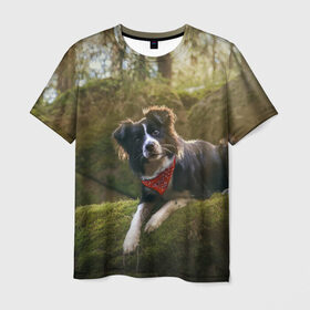 Мужская футболка 3D с принтом Лес в Курске, 100% полиэфир | прямой крой, круглый вырез горловины, длина до линии бедер | dog | бордер колли | пес | собака