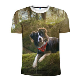 Мужская футболка 3D спортивная с принтом Лес в Курске, 100% полиэстер с улучшенными характеристиками | приталенный силуэт, круглая горловина, широкие плечи, сужается к линии бедра | Тематика изображения на принте: dog | бордер колли | пес | собака