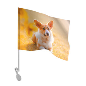Флаг для автомобиля с принтом Взгляд в Курске, 100% полиэстер | Размер: 30*21 см | dog | вельш корги | корги | пес | собака