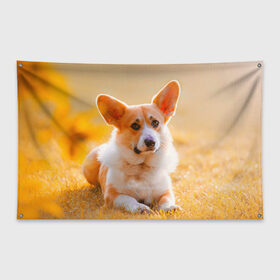 Флаг-баннер с принтом Взгляд в Курске, 100% полиэстер | размер 67 х 109 см, плотность ткани — 95 г/м2; по краям флага есть четыре люверса для крепления | dog | вельш корги | корги | пес | собака