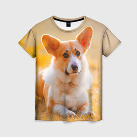 Женская футболка 3D с принтом Взгляд в Курске, 100% полиэфир ( синтетическое хлопкоподобное полотно) | прямой крой, круглый вырез горловины, длина до линии бедер | dog | вельш корги | корги | пес | собака
