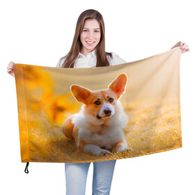 Флаг 3D с принтом Взгляд в Курске, 100% полиэстер | плотность ткани — 95 г/м2, размер — 67 х 109 см. Принт наносится с одной стороны | dog | вельш корги | корги | пес | собака