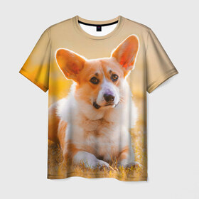 Мужская футболка 3D с принтом Взгляд в Курске, 100% полиэфир | прямой крой, круглый вырез горловины, длина до линии бедер | dog | вельш корги | корги | пес | собака