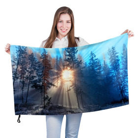 Флаг 3D с принтом Woodland в Курске, 100% полиэстер | плотность ткани — 95 г/м2, размер — 67 х 109 см. Принт наносится с одной стороны | деревья | лес | пейзаж
