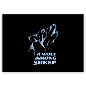 Поздравительная открытка с принтом Волк среди овец в Курске, 100% бумага | плотность бумаги 280 г/м2, матовая, на обратной стороне линовка и место для марки
 | wolf among sheep | татуировка | хищник