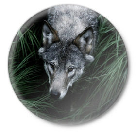Значок с принтом Волк в траве в Курске,  металл | круглая форма, металлическая застежка в виде булавки | Тематика изображения на принте: природа | серый | хищник