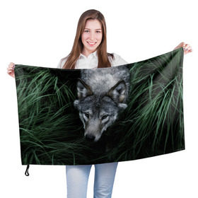 Флаг 3D с принтом Волк в траве в Курске, 100% полиэстер | плотность ткани — 95 г/м2, размер — 67 х 109 см. Принт наносится с одной стороны | природа | серый | хищник