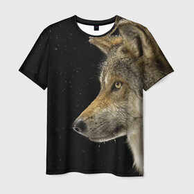 Мужская футболка 3D с принтом Волк и звезды в Курске, 100% полиэфир | прямой крой, круглый вырез горловины, длина до линии бедер | животные | зверь | серый | хищник