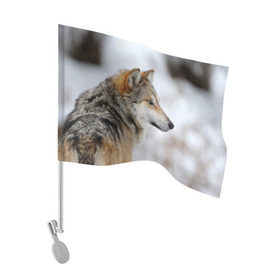Флаг для автомобиля с принтом Хозяин леса в Курске, 100% полиэстер | Размер: 30*21 см | волк | серый