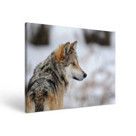 Холст прямоугольный с принтом Хозяин леса в Курске, 100% ПВХ |  | Тематика изображения на принте: волк | серый