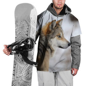 Накидка на куртку 3D с принтом Хозяин леса в Курске, 100% полиэстер |  | волк | серый